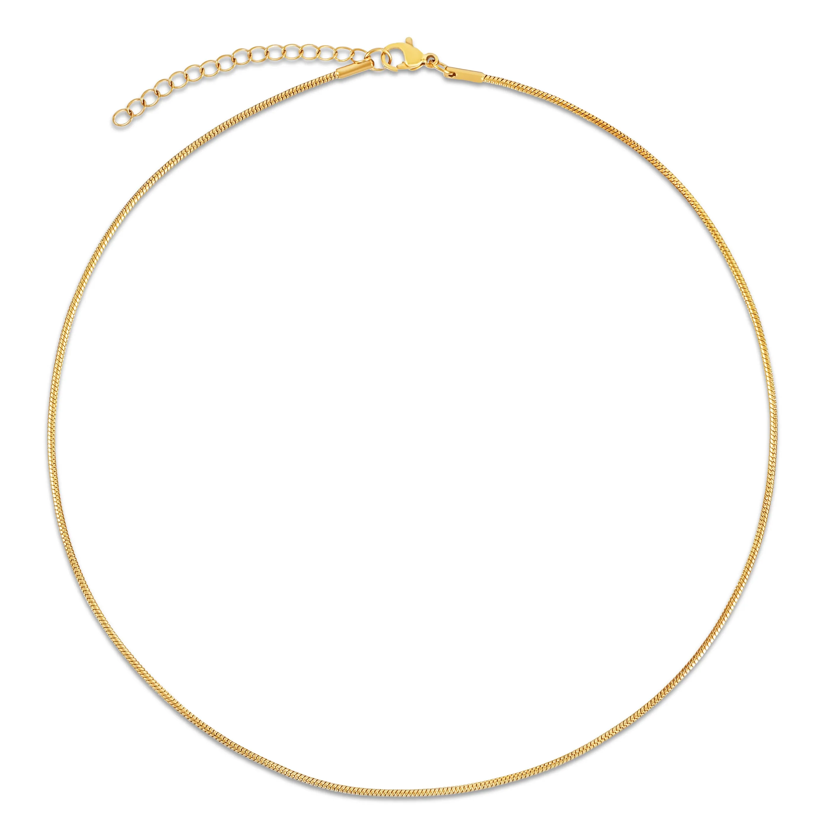 Amara Dainty Snake Chain Choker Necklace
